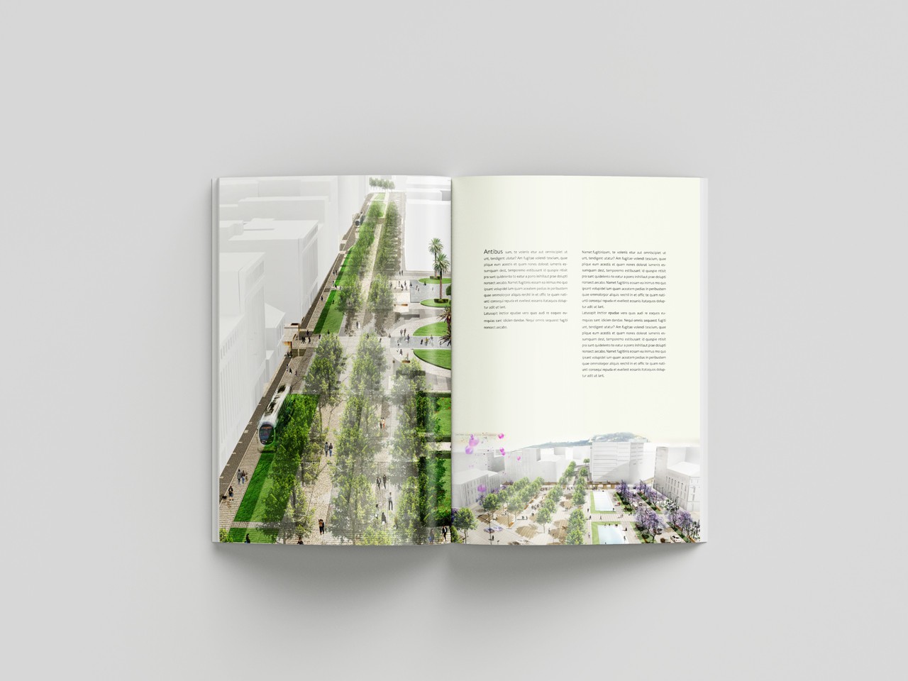 Architects 75 brochure design